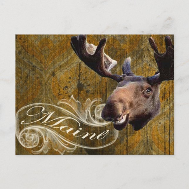 Postal Grunge moose (Anverso)