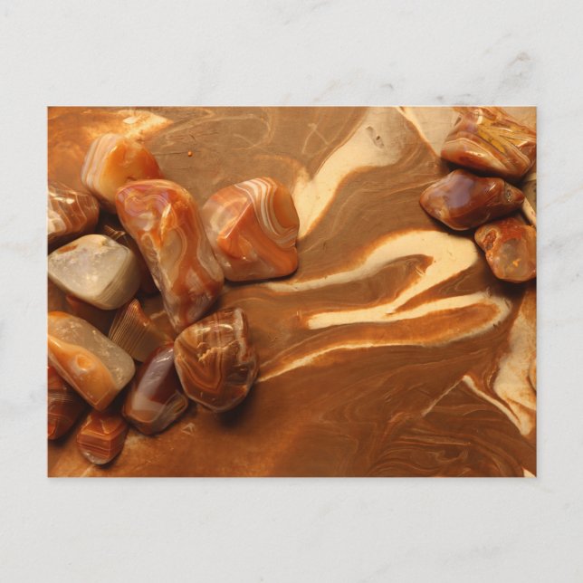 Postal Grupo Agate de Conejo Oculto (Anverso)