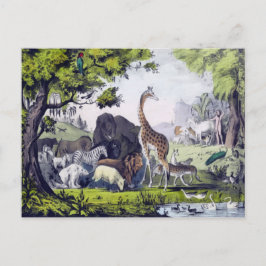 Postal Grupo de animales