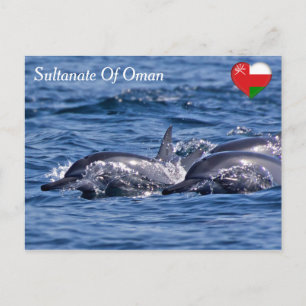 Postal Grupo de delfines mulares - Omán