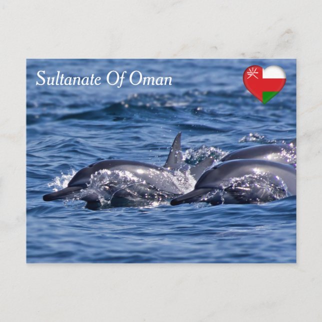 Postal Grupo de delfines mulares - Omán (Anverso)