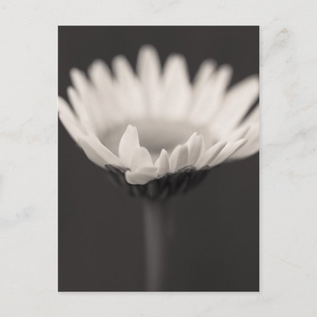 Postal grupo de estados de ánimo (Anverso)