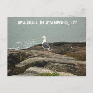 POSTAL GRUPO DE MAR EN STAMFORD, CT, $B.A.K.$ ...