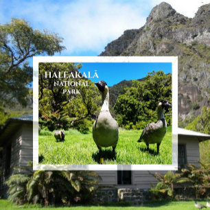 Postal Grupo de Nēné, Parque Nacional Haleakalā, Maui, HI