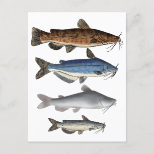 Postal Grupo de pescadores de pescado de Norteamérica