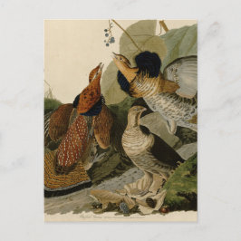 Postal Grupo espumoso de John Audubon