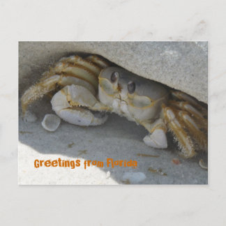 Postal Grüße aus Florida Grußkarte Postkarte