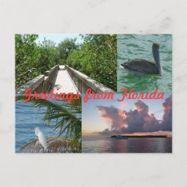 Postal Grüße aus Florida Grußkarte Postkarte