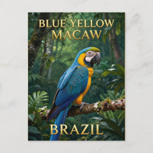 Postal 🦜 Guacamayo azul y amarillo Selva tropical brasil