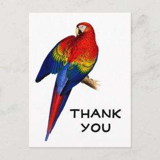 Postal Guacamayo Escarlata Arcoíris Selva Pájaro Gracias