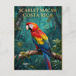 Postal 🌴 Guacamayo Escarlata Vida Silvestre de Costa Ric