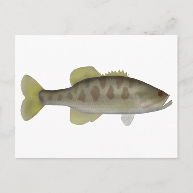 Postal Guadalupe Bass (Anverso)