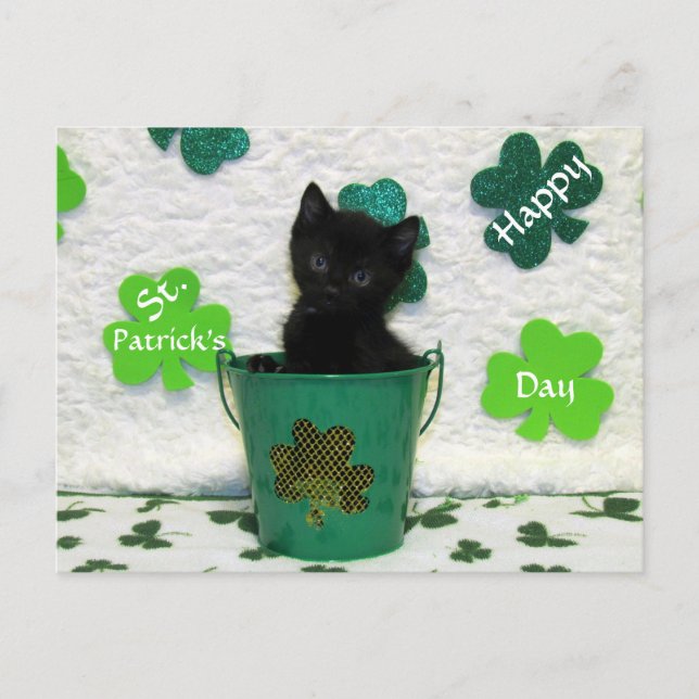Postal Guapo gato del día de San Patricio de Jack / gatit (Anverso)