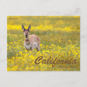 Postal Guardar nuestros parques