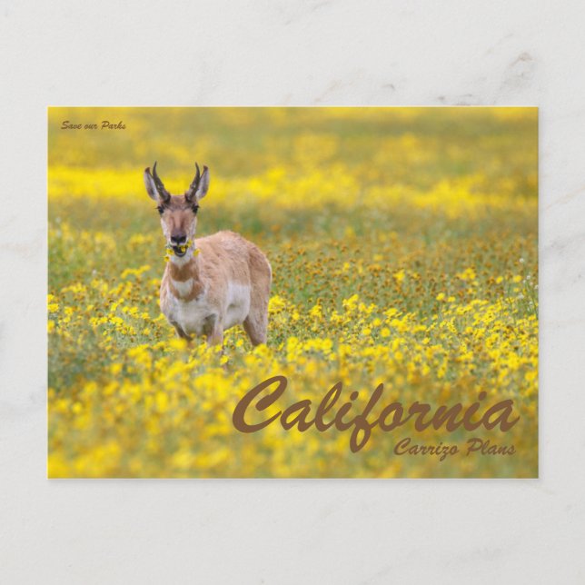 Postal Guardar nuestros parques (Anverso)