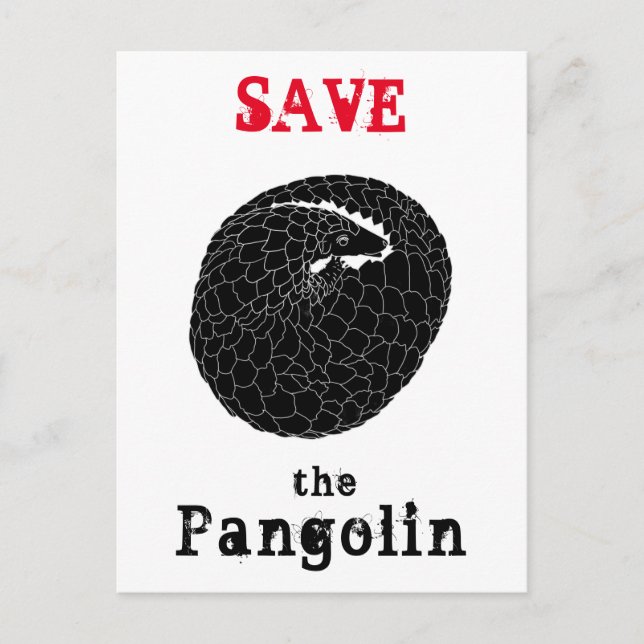Postal Guardar pangolin especie en peligro de extinción A (Anverso)