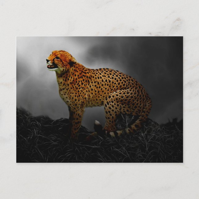 Postal Guardia espiritual de Cheetah (Anverso)