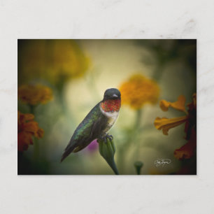 Postal Guardia Permanente