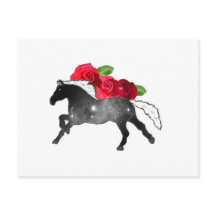 Guay Galazy Horse Black + White Nebula con Rosas