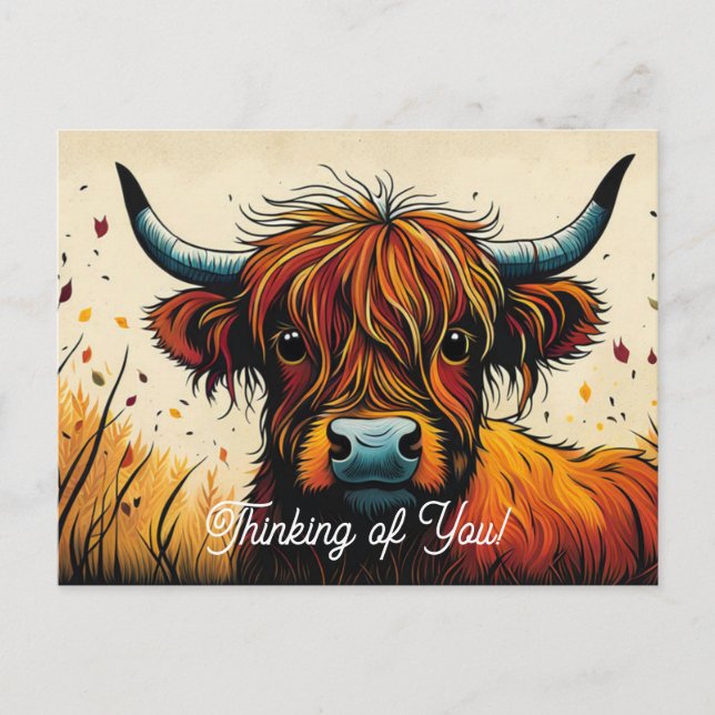 Postal Guay Highland Cow se enfrenta a un acercamiento (Anverso)