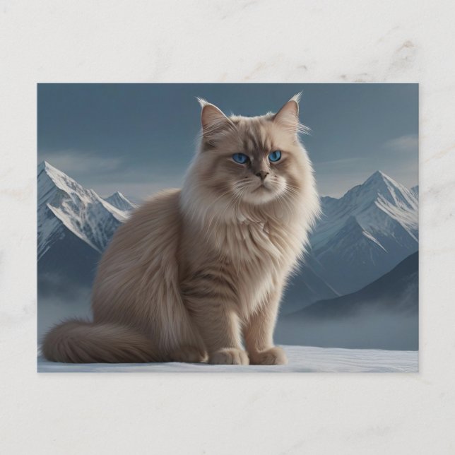 Postal Guay Kitty (Anverso)