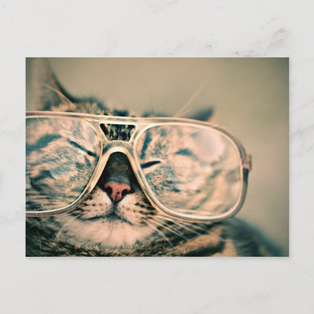 Postal Guay Kitty en gafas sobredimensionadas (Anverso)