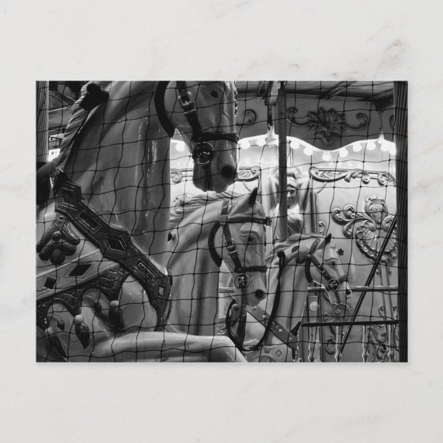 Postal Guay, urbana, moderna foto de caballos de carrusel (Anverso)