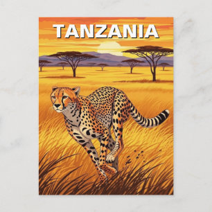 Postal Guepardo en el Parque Nacional Serengeti Tanzania