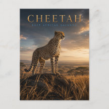 Guepardo Sabana de África Oriental ANIMALES