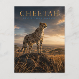 Postal Guepardo Sabana de África Oriental ANIMALES