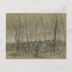 Postal Guerra Civil de Estados Unidos: El salvaje