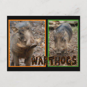 POSTAL GUERRAS - ANIMALES SALVAJES