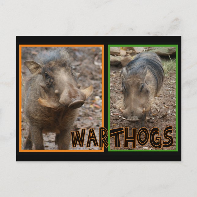 POSTAL GUERRAS - ANIMALES SALVAJES (Anverso)