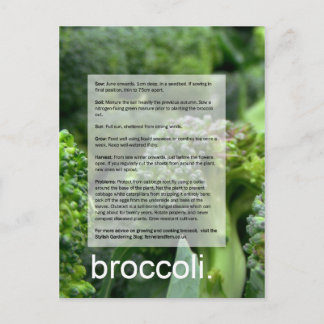 Postal Guía de crecimiento bueno: Brocoli y rábanos