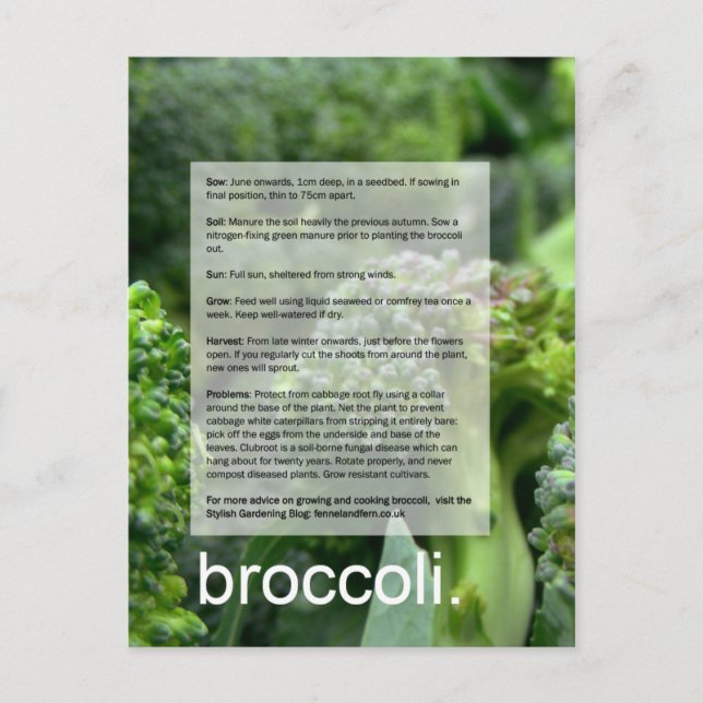 Postal Guía de crecimiento bueno: Brocoli y rábanos (Anverso)