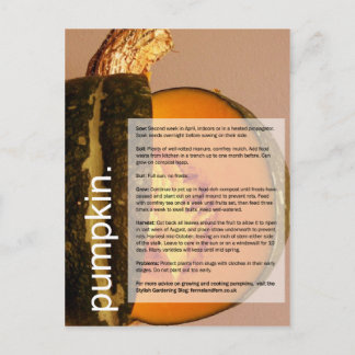 Postal Guía de crecimiento bueno: Calabaza y barro