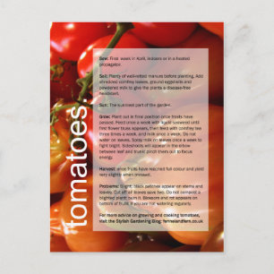 Postal Guía de crecimiento bueno: Tomates y ajo