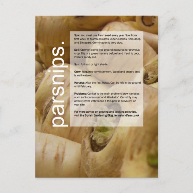 Postal Guía para el Buen Crecimiento: Artichokes y Parril (Anverso)