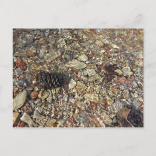 Postal Guijarros en la fotografía de naturaleza de Taylor