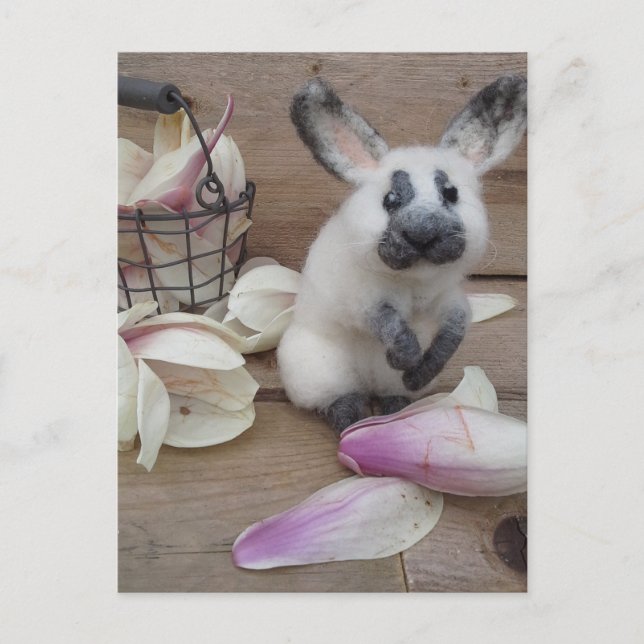 Postal Guilty rabbit (Anverso)