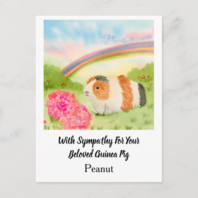 Postal Guinea Pig Rainbow Sympathy with Carnations Name (Anverso)