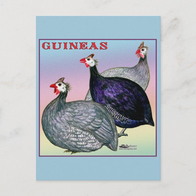 Postal Guineas Three Fowl (Anverso)