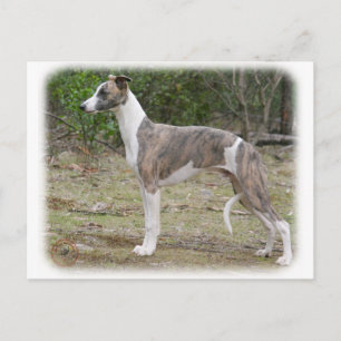 Postal Guión 9R046D-085