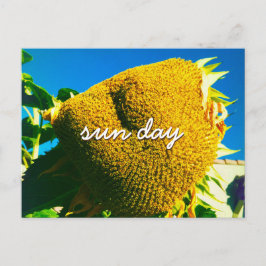 Postal Guión de cita del Sun Day de foto de girasol amari