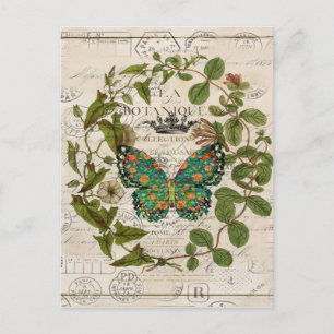 Postal guión de moda país mariposa botánica
