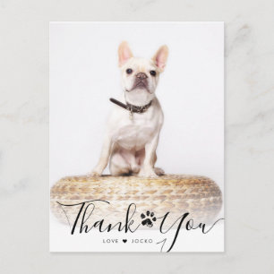 Postal Guión Personalizado Foto Memorial de Mascota Agrad