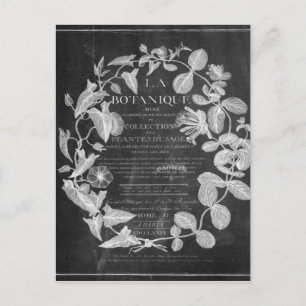 Postal guiones de pizarra de arte botánico francés hojas 