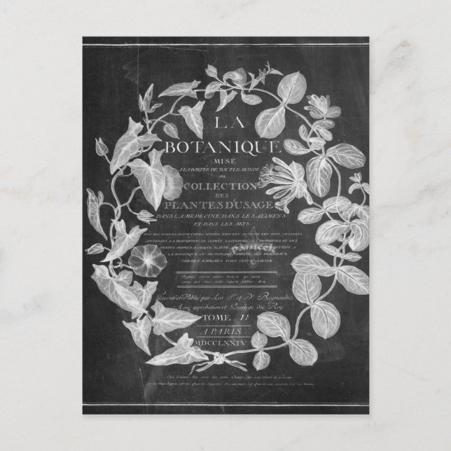 Postal guiones de pizarra de arte botánico francés hojas  (Anverso)