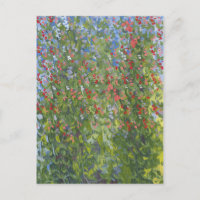 Guisantes de olor 2014