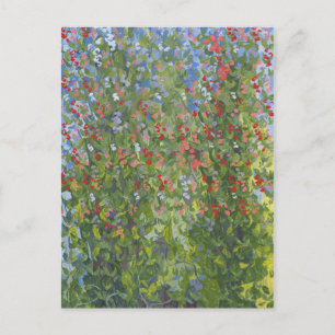 Postal Guisantes de olor 2014